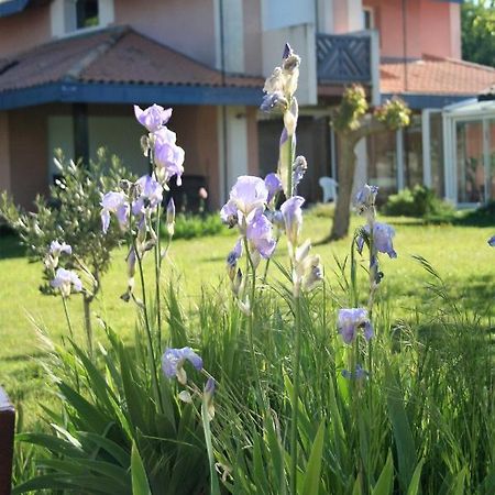 Villa Helianthe Audenge Exterior foto