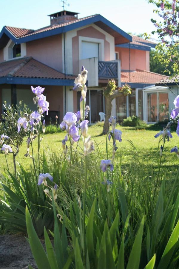 Villa Helianthe Audenge Exterior foto