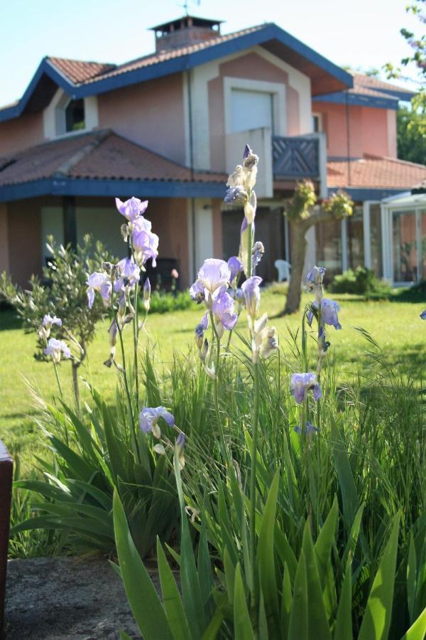 Villa Helianthe Audenge Exterior foto